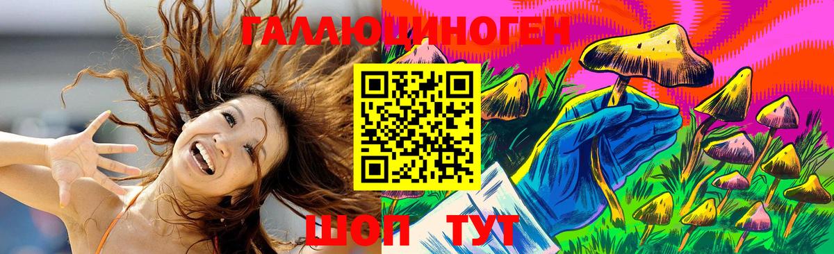 Саранск  Псилоцибиновые грибы Psilocybine cubensis  Вход с VPN 