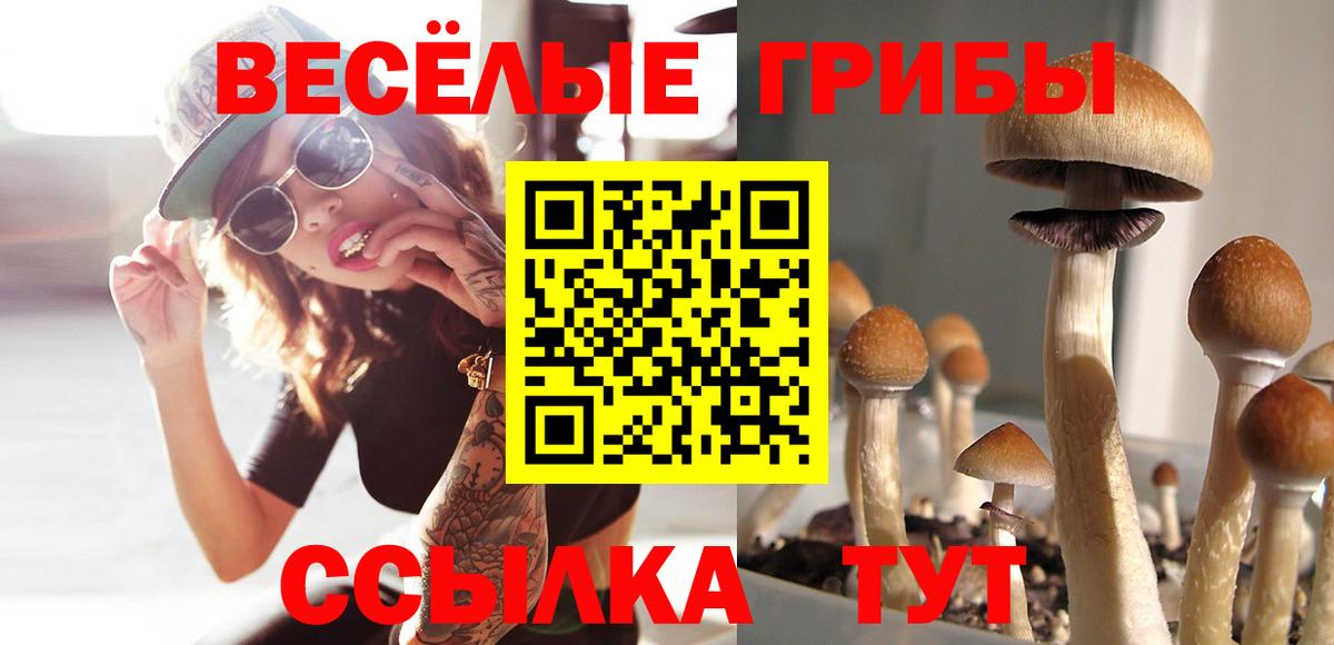 Галлюциногенные грибы Magic Shrooms Саранск